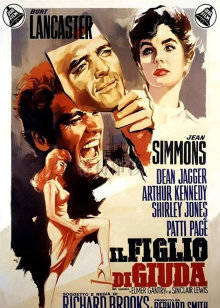 詩(shī)涵留學(xué)荷蘭被黑人摘