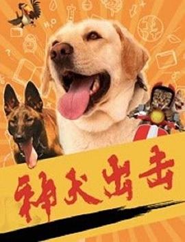 被滋潤的艷婦瘋狂呻吟白潔老七