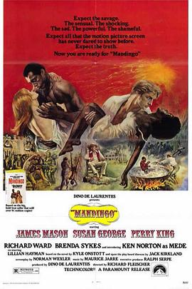 拔擦拔擦8X華人器