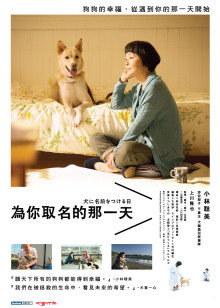 小不點愛吃肉混JIN男團當(dāng)愛豆