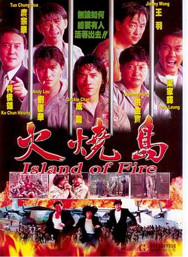 揚(yáng)思敏全集1一5集