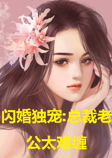 新還珠格格第三部全集