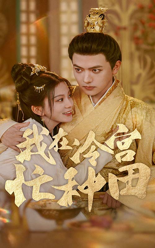 一周立波秀2011集全集高清