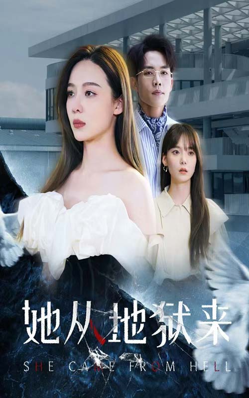 中國videoses1215