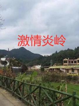飄飄小龍女