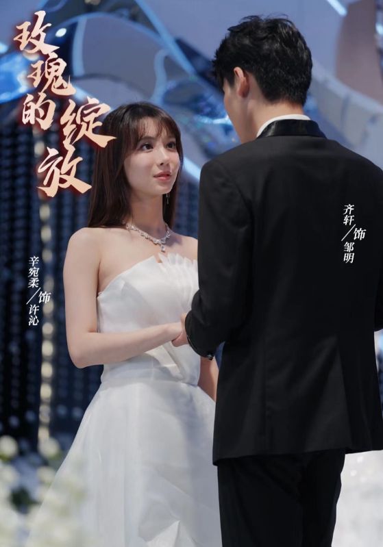 巡回檢察組34集