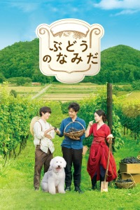清子紀(jì)凌塵