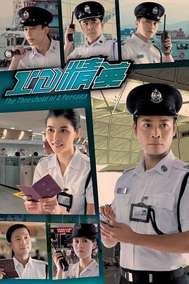 完美伴侶一共多少集