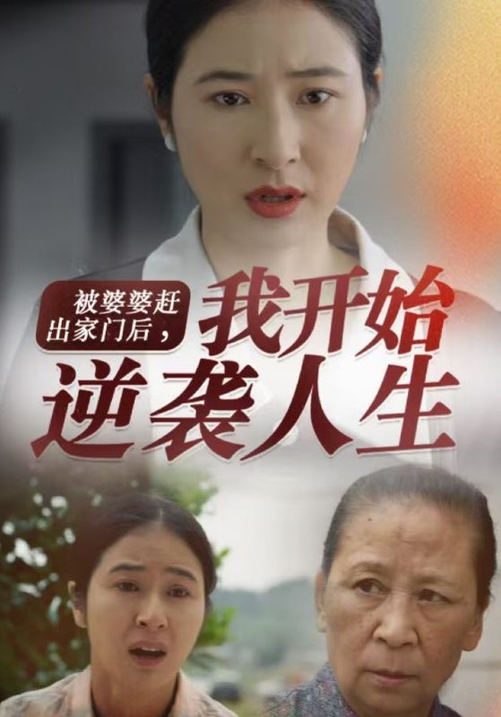 中國(guó)去到廁所4