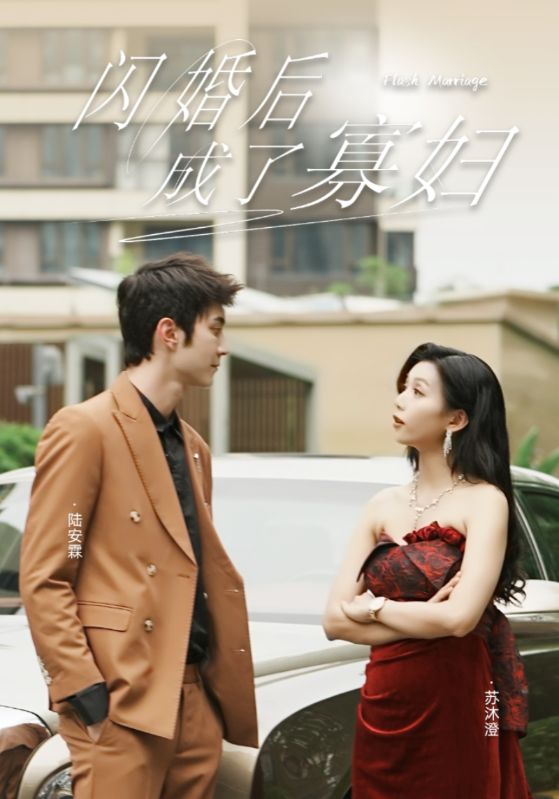 巡回檢察組43全集星辰