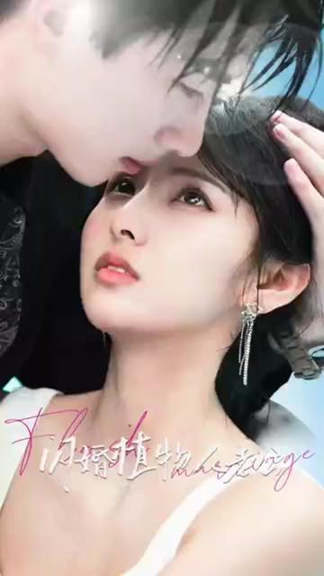 新還珠格格全集