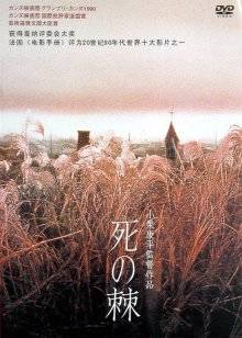 歐美同性ideostv
