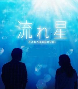 劉詩(shī)詩(shī)2013跨年