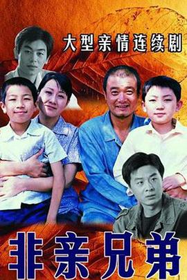 金裝的維爾梅櫻花動漫第一季