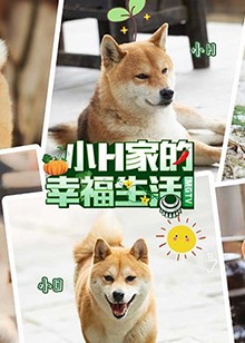 白寶山