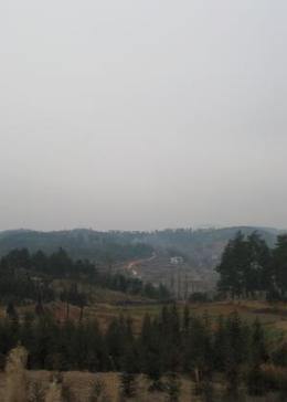 貓鼠游戲萊昂納多