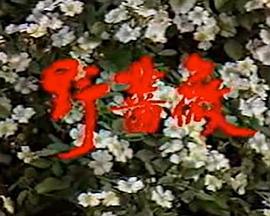 康熙微服