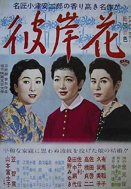 男女排排排視頻高清