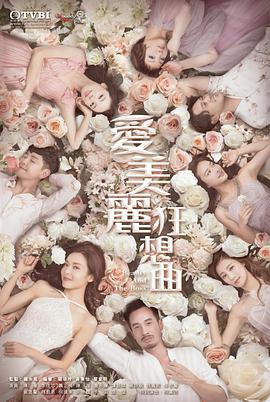 充氣娃娃之戀