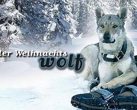 你遲到了許多年