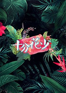 薄荷奶糖1V2多肉