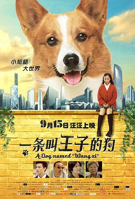 非誠勿擾王超